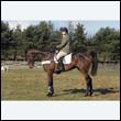 braes2010_0127