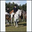 braes2010_0140