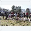 braes2010_0144