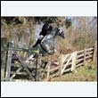 braes2010_0149
