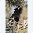 braes2010_0150