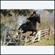 braes2010_0151