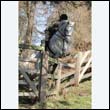 braes2010_0153