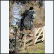 braes2010_0154