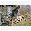 braes2010_0155