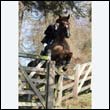 braes2010_0159