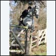 braes2010_0162