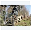 braes2010_0163