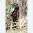 braes2010_0164