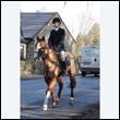 braes2010_0179