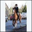 braes2010_0182