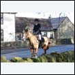 braes2010_0187