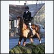 braes2010_0199