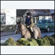 braes2010_0203