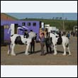 chaps5_0002
