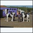 chaps5_0003