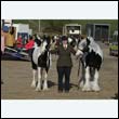 chaps5_0007