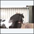chaps5_0010