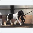 chaps5_0011