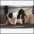 chaps5_0012