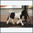 chaps5_0013