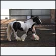 chaps5_0017