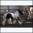 chaps5_0018
