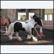 chaps5_0019