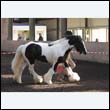 chaps5_0020