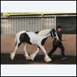 chaps5_0021