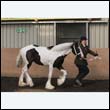 chaps5_0022