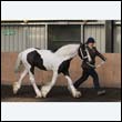 chaps5_0023