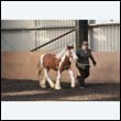 chaps5_0026