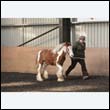 chaps5_0028