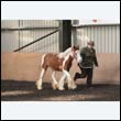 chaps5_0029