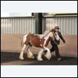 chaps5_0032