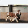 chaps5_0033