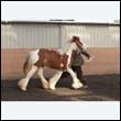 chaps5_0034
