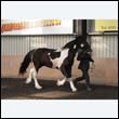 chaps5_0035
