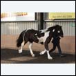 chaps5_0038