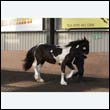 chaps5_0039