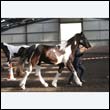 chaps5_0040