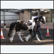 chaps5_0041