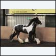 chaps5_0043