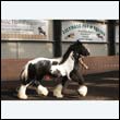 chaps5_0044