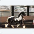 chaps5_0045