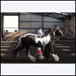 chaps5_0046