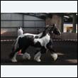 chaps5_0047