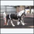 chaps5_0051
