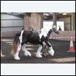 chaps5_0052